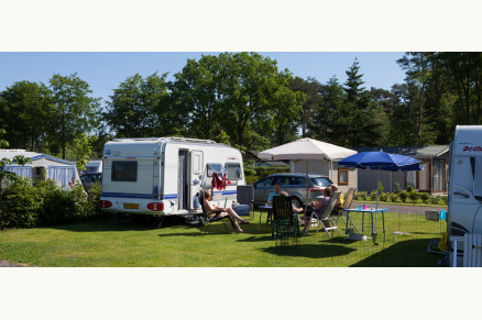 Kampeerplaatsen Het Caitwickerzand op de Veluwe met paardenweide VMP031